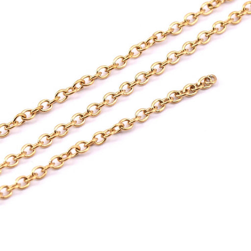 Oval mesh chain in golden stainless steel 3x2mm (1m)