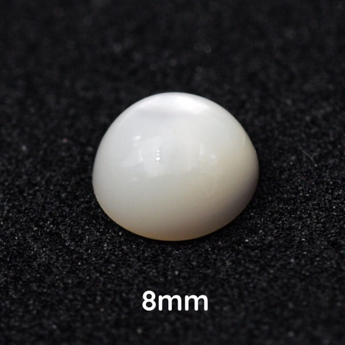 Round shell cabochon 8mm (1)