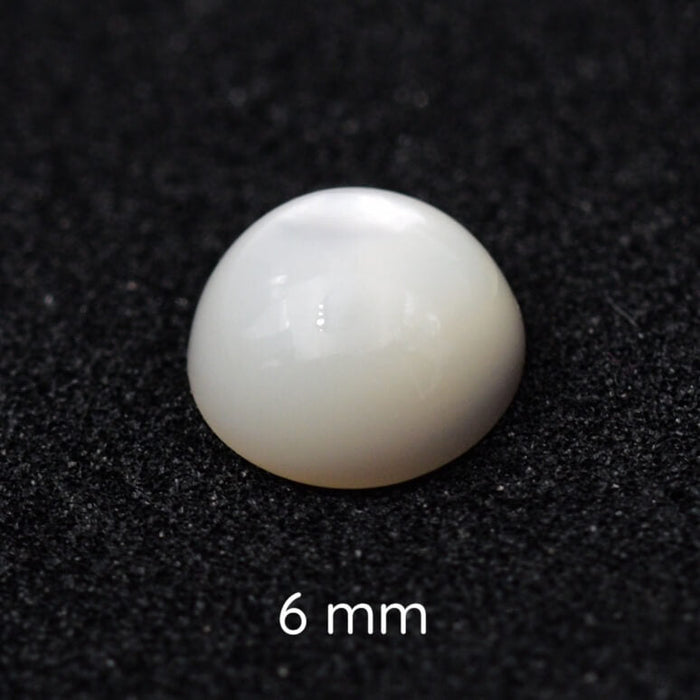 Round shell cabochon 6mm (1)