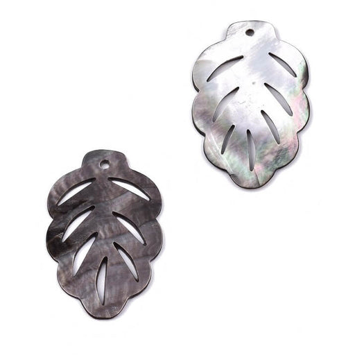 Buy shell pendant gray black leaf 35x22mm Hole: 1.6mm (1)