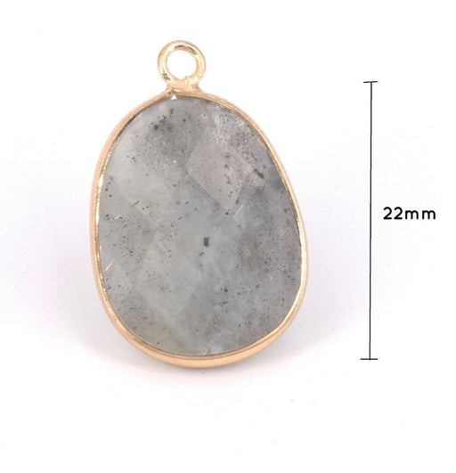 Pendant Labradorite Faceted Set light gold 22x13mm (1)