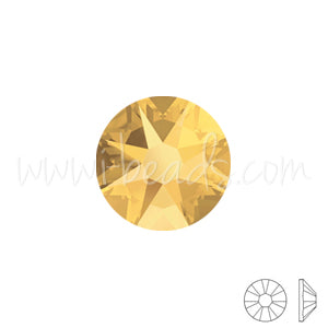 Swarovski Flatback Crystal Bag (100 pcs) SS5 – Yaquesita's Nails